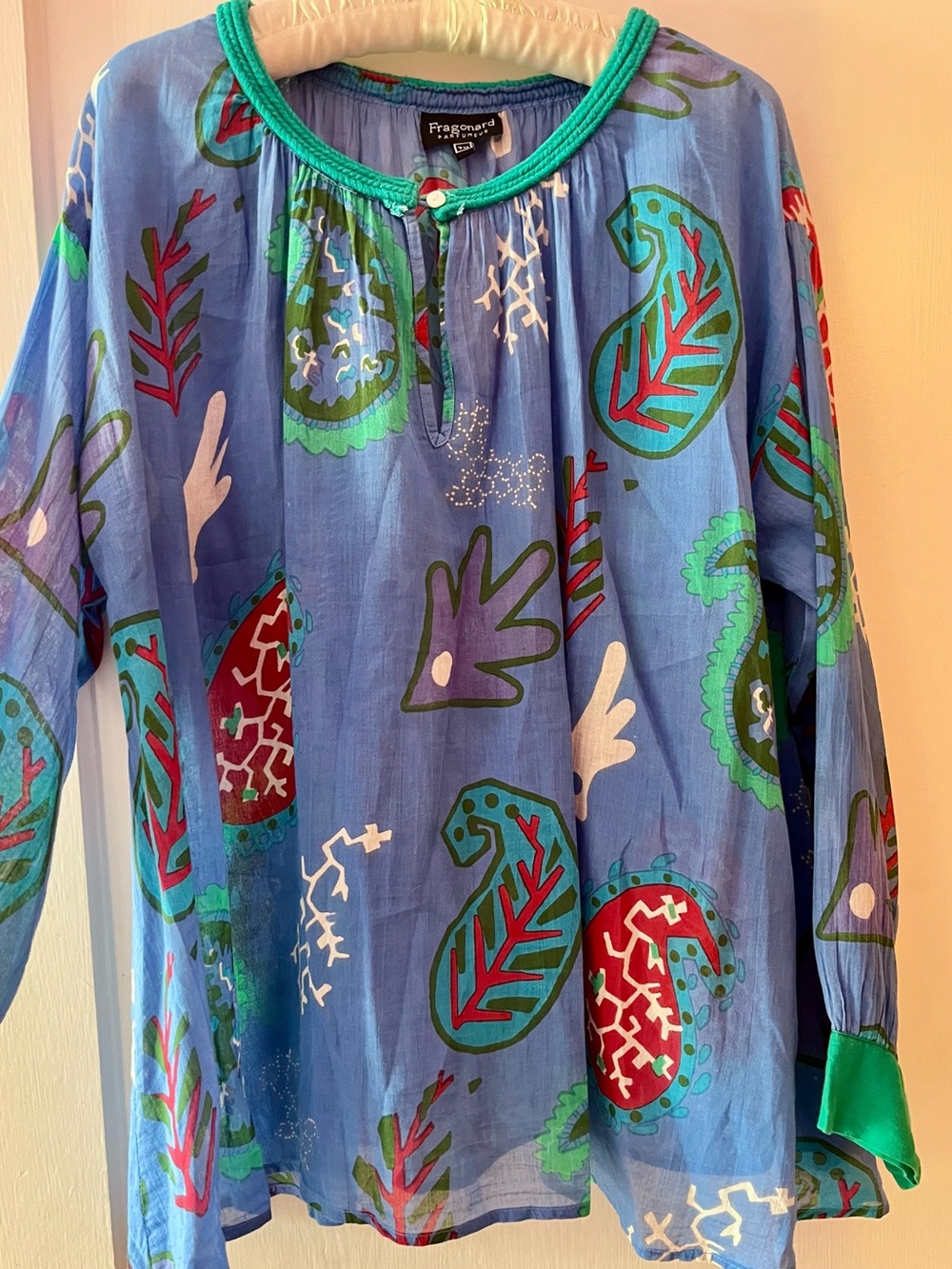 RARE Fragonard Matisse-Inspired Blue Artistic Long-Sleeve Top with Green Trim